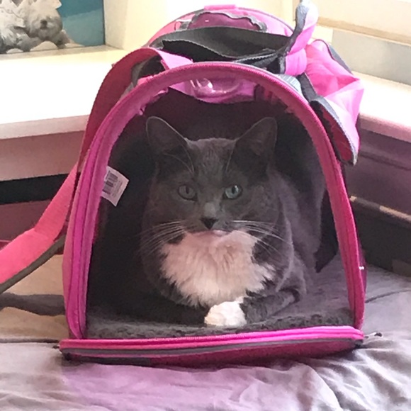 Meet your Posher, Stephanie - Picture 3 of 3